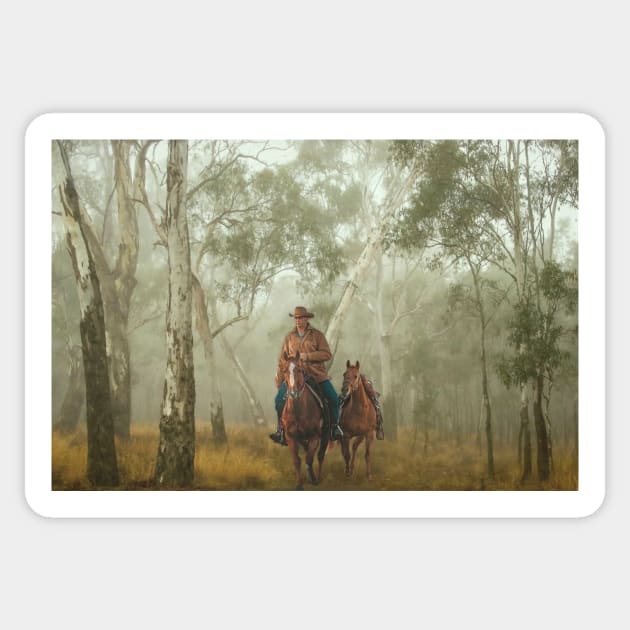 Australian Stockman in Foggy Eucalyptus Forest Sticker by Mark Richards